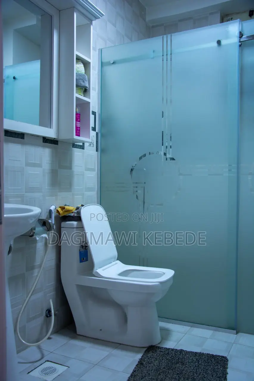 Furnished 3bdrm Apartment in Sket Real Estate, Gullele for rent