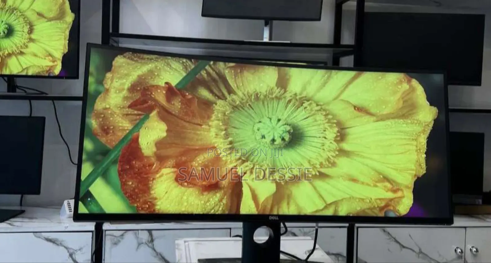 Dell Curved Monitor