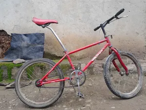 Photo - Creeper Bike