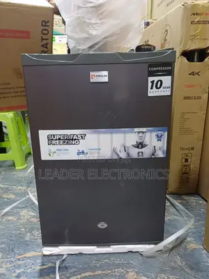 Popular Mini Refrigerator Model 120