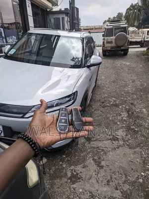 Byd Yuan Up Kulf Programming