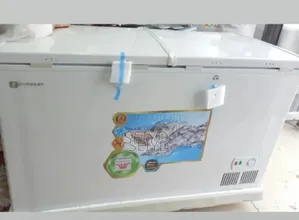 Photo - Everest Dip Ferizer 500 Model Bale 2