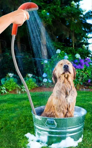 Smart Outdoor Shower