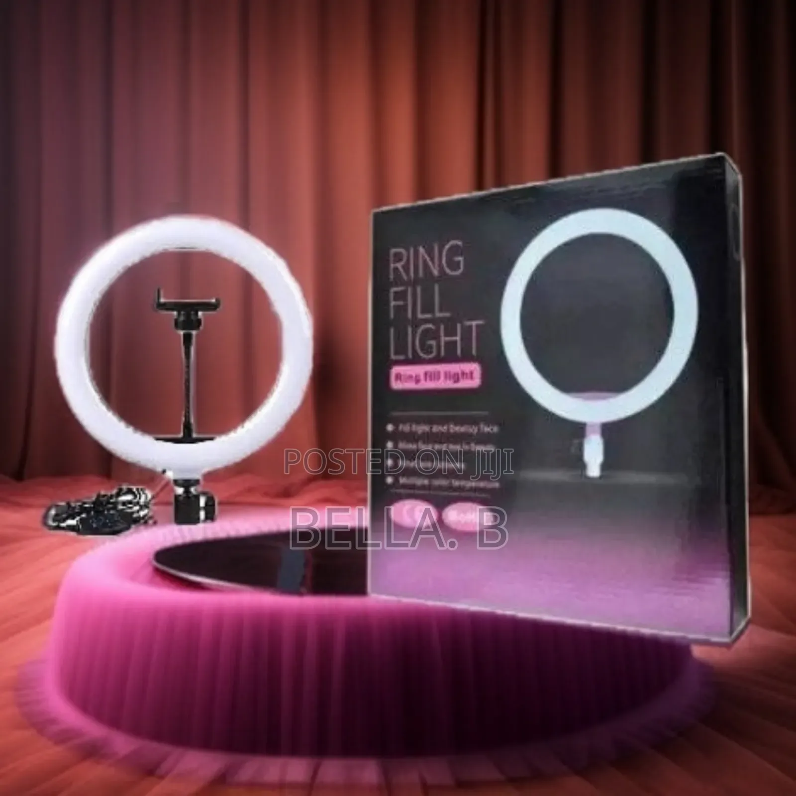10 Inch Ring Light: The Pro on the Go.