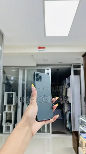 Apple iPhone 11 Pro Max 256 GB Green