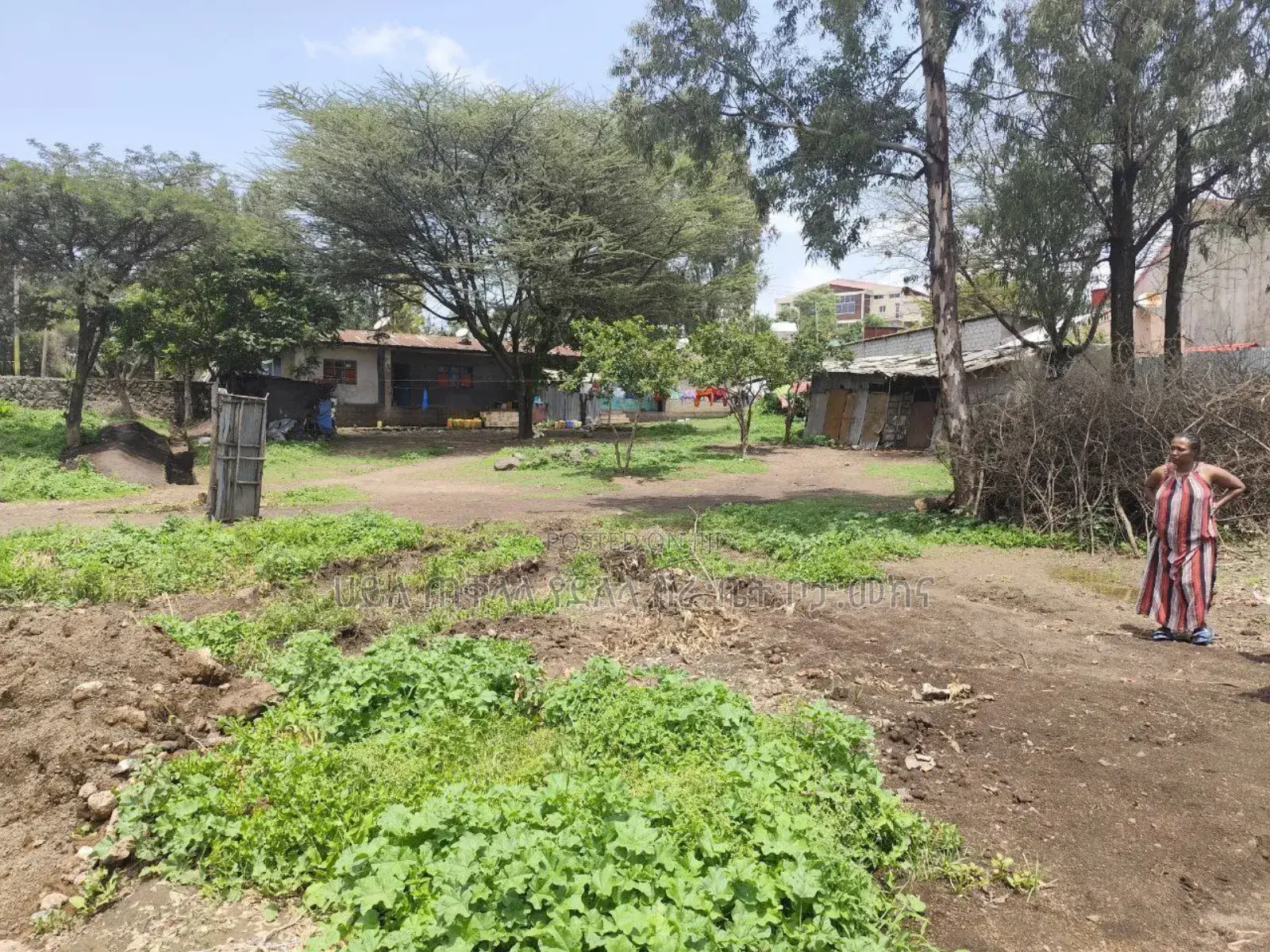 አስቸኳይ የሚሸጥ 1400 ካረ የንግድ ቦታ በብሾፍቱ ከተማ