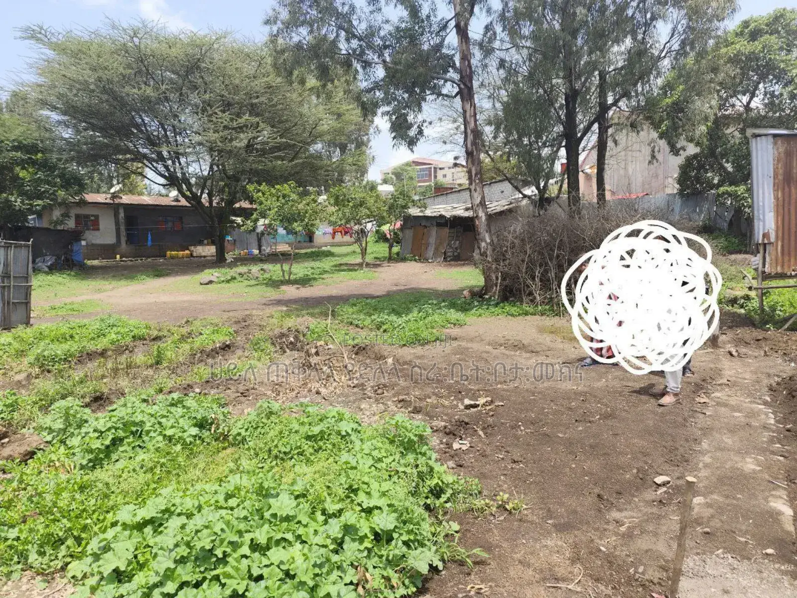 አስቸኳይ የሚሸጥ 1400 ካረ የንግድ ቦታ በብሾፍቱ ከተማ