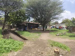 አስቸኳይ የሚሸጥ 1400 ካረ የንግድ ቦታ በብሾፍቱ ከተማ