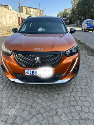 Photo - Peugeot 2008 2021 Brown