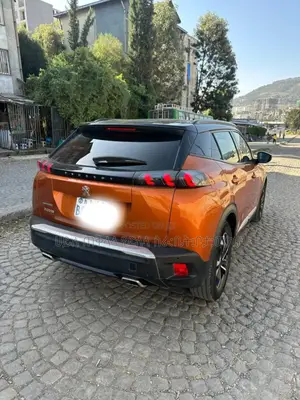 Peugeot 2008 2021 Brown