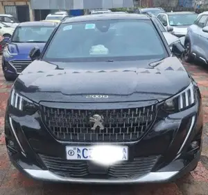 Photo - Peugeot 2008 2023 Gray