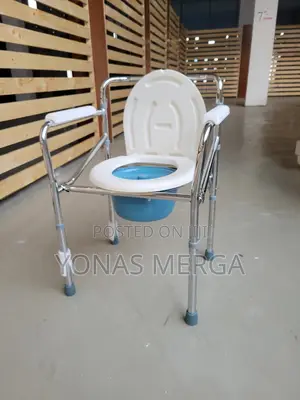 Photo - Toilet=Using the Toilet 
Purpose:It Provides a Safer More Accessible