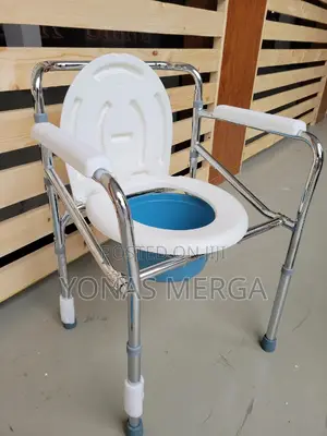 Toilet=Using the Toilet 
Purpose:It Provides a Safer More Accessible