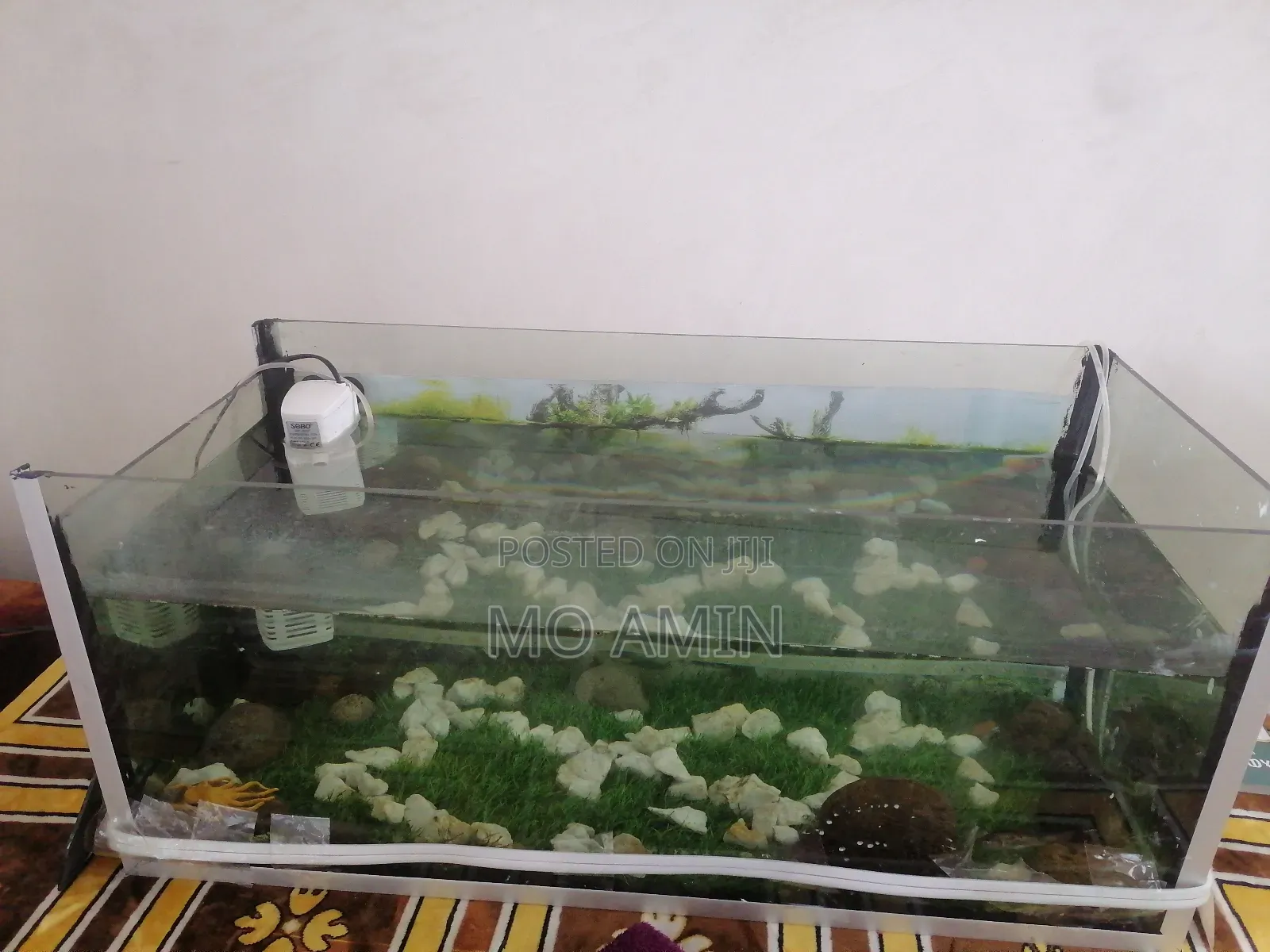 Aquarium for Fish