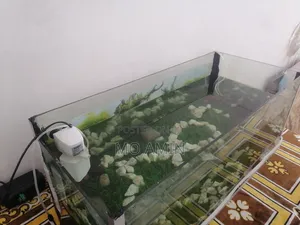 Aquarium for Fish