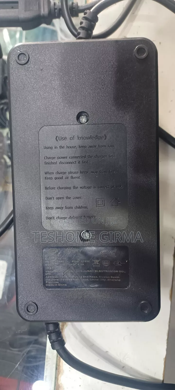 Electric Motor Charger