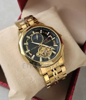 Lexros Extra Luxury Grand Men's Waterproof Full Automatic Mechanical