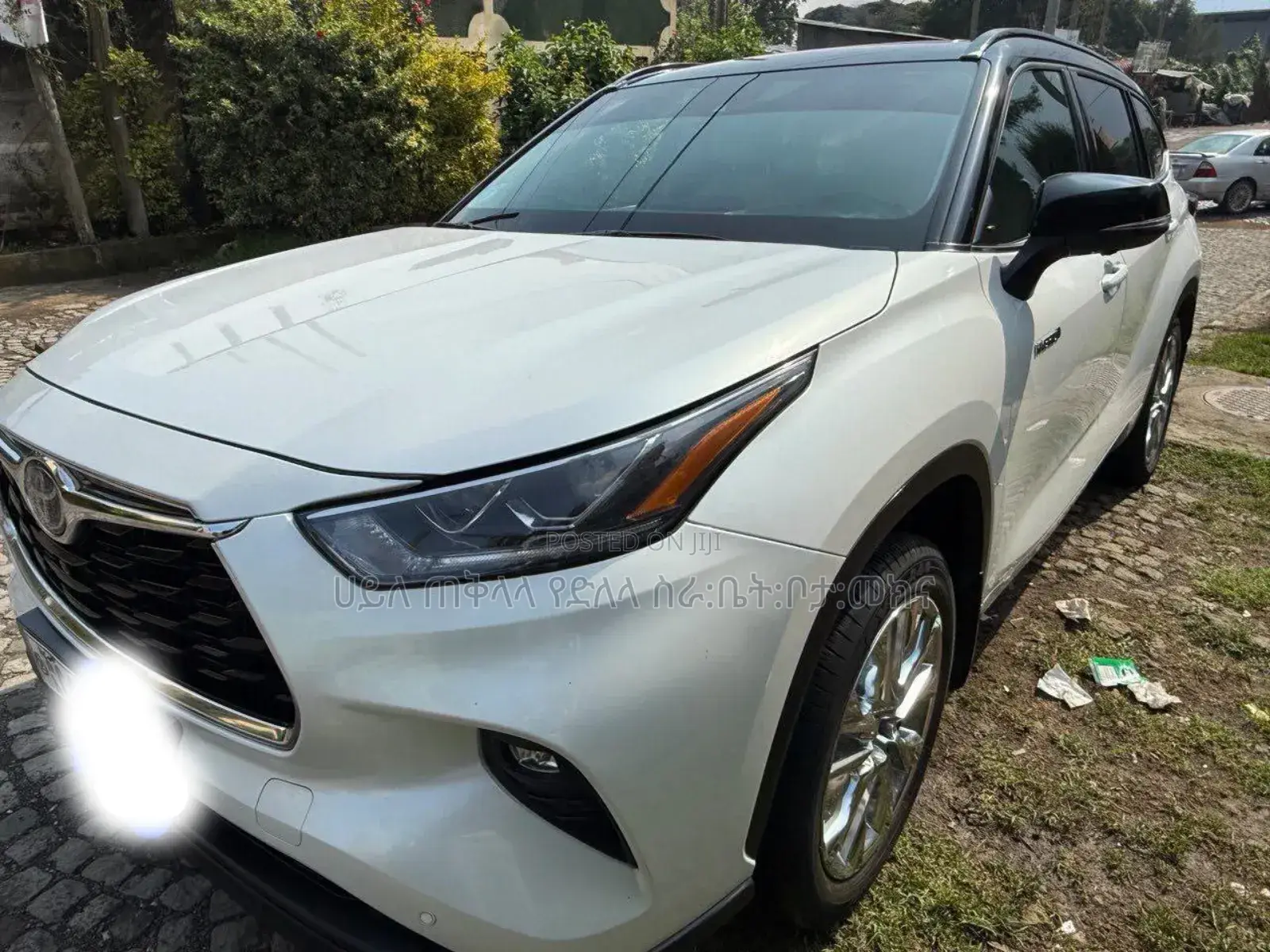 Toyota Corolla 2024 Ivory