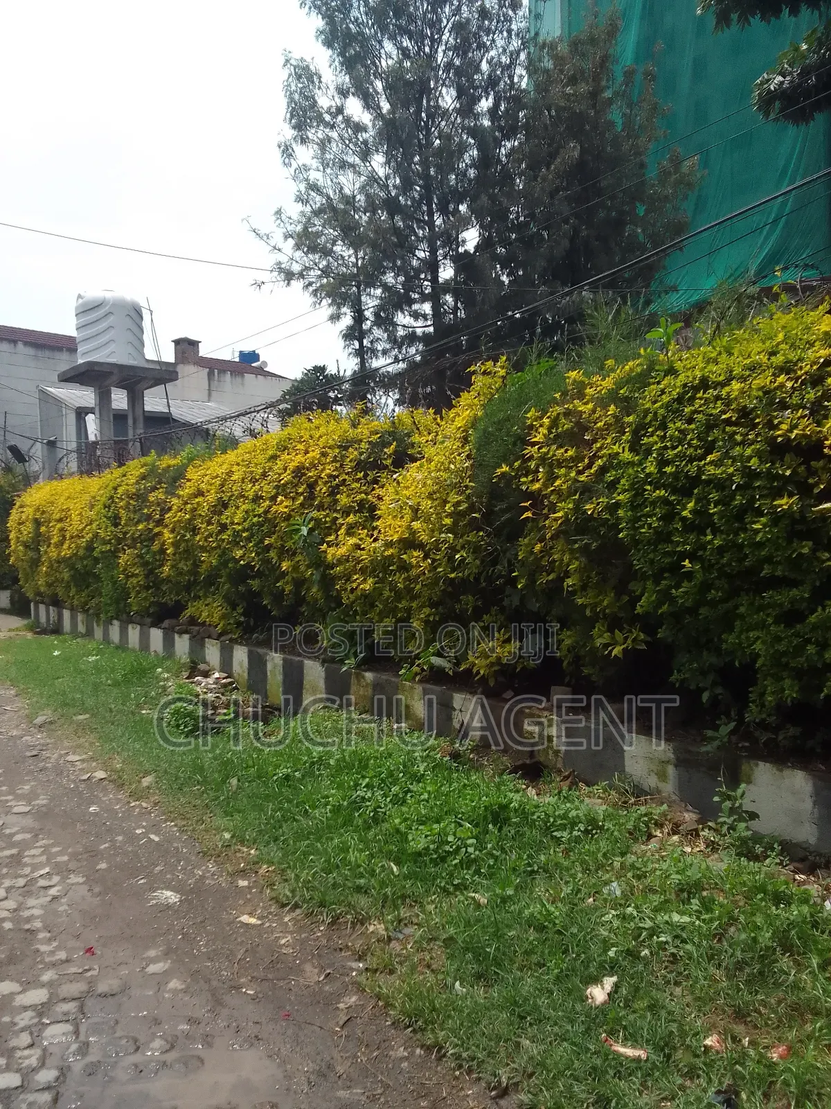 Commercial Land Sale Bole Totot Hotel or Nexusus Hotel Area