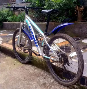 Photo - Original Cycle