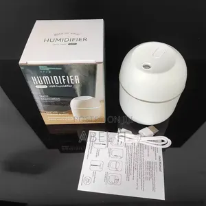 Photo - Air Humidifier and Essential Oils