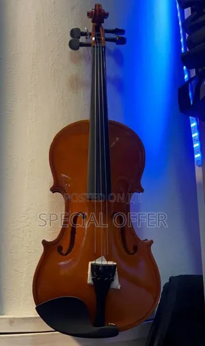 Photo - Violin Violin