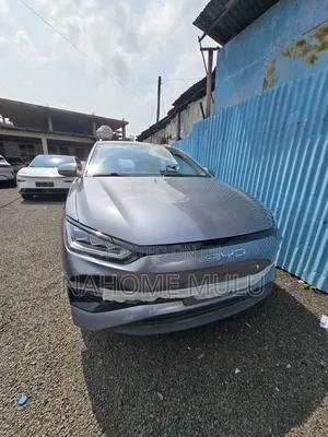 New BYD E2 43 kWh 94 hp FWD 2025 Gray