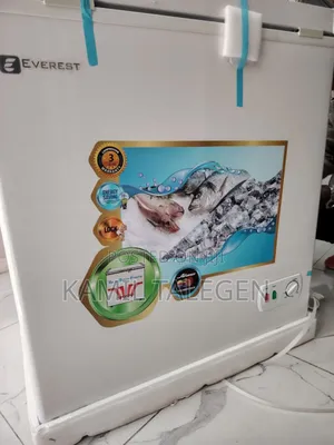 Everest Deep Freezer