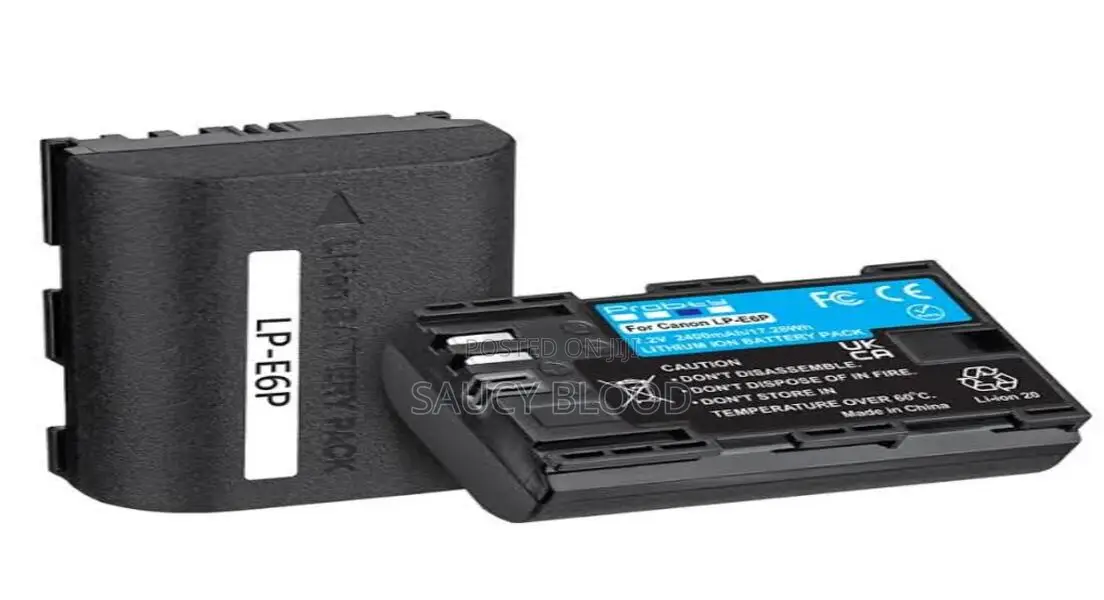 Canon Lpe6p Battery