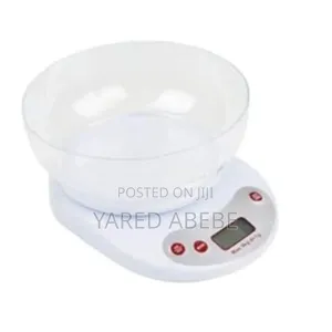 Electronic Kitchen Scale