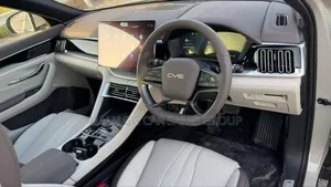 New BYD Song Plus 2025 Gray