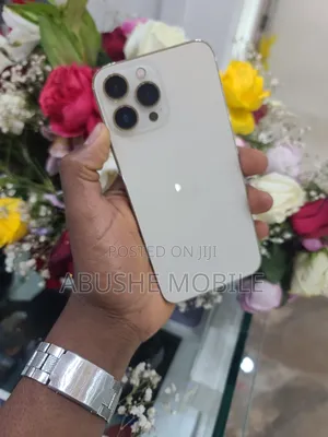 New Apple iPhone 13 Pro Max 256 GB Gold