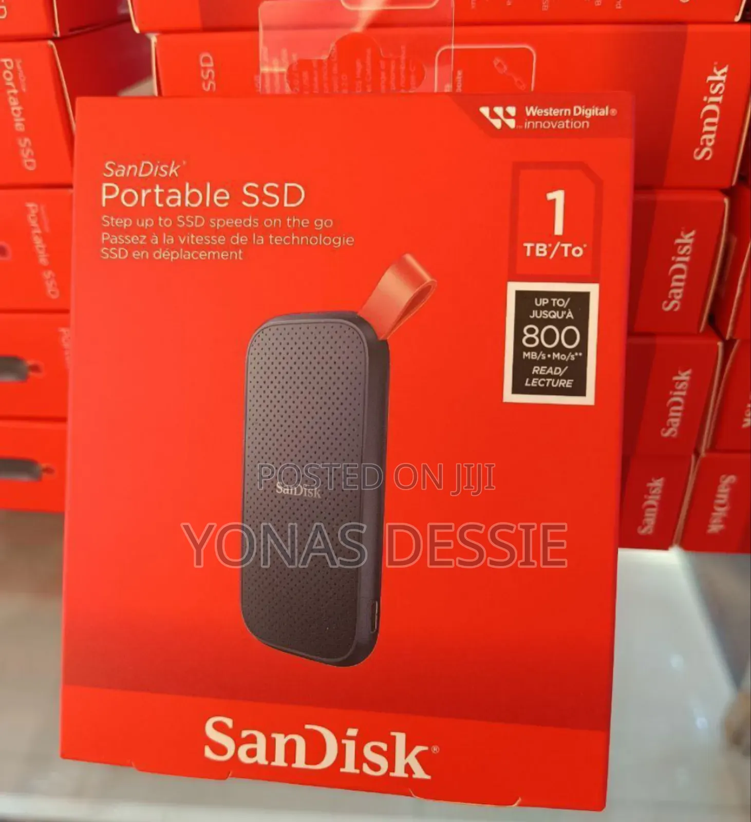 Portable Sandisk