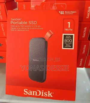 Portable Sandisk