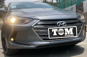 Hyundai Elantra 2017 Silver