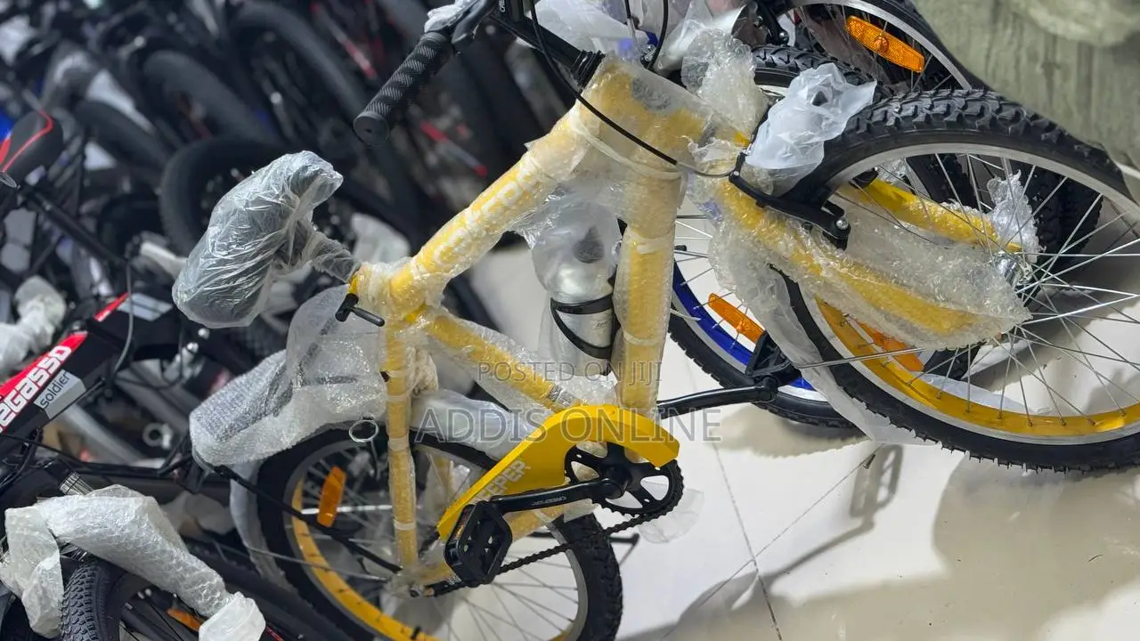 Creeper Bicycle 20 Inch