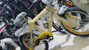 Creeper Bicycle 20 Inch