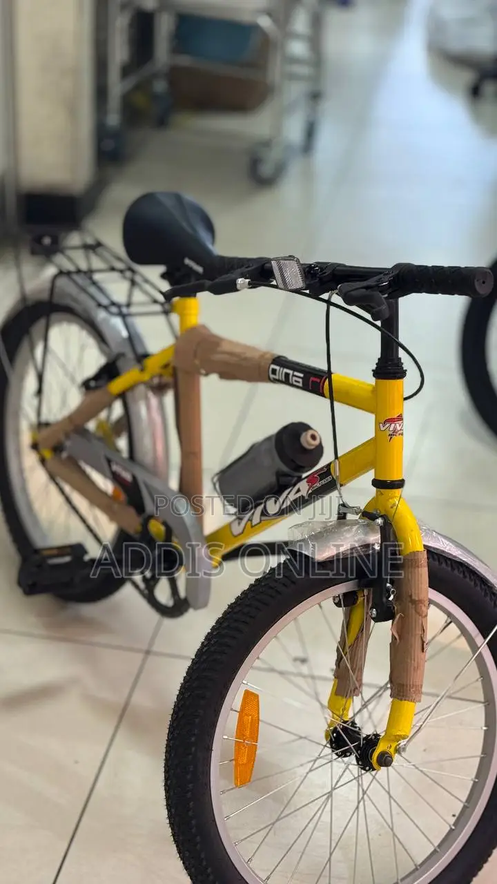 Viva 20in Bike