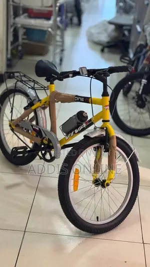 Viva 20in Bike