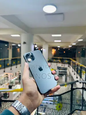 Photo - Apple iPhone 12 Pro Max 256 GB Gray