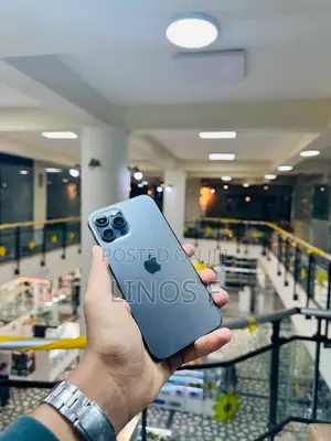 Apple iPhone 12 Pro Max 256 GB Gray