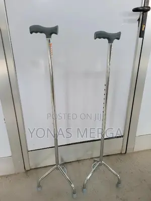Photo - Walking Stick and Walking Cane, Etc. Focusing on a Customer-Cane