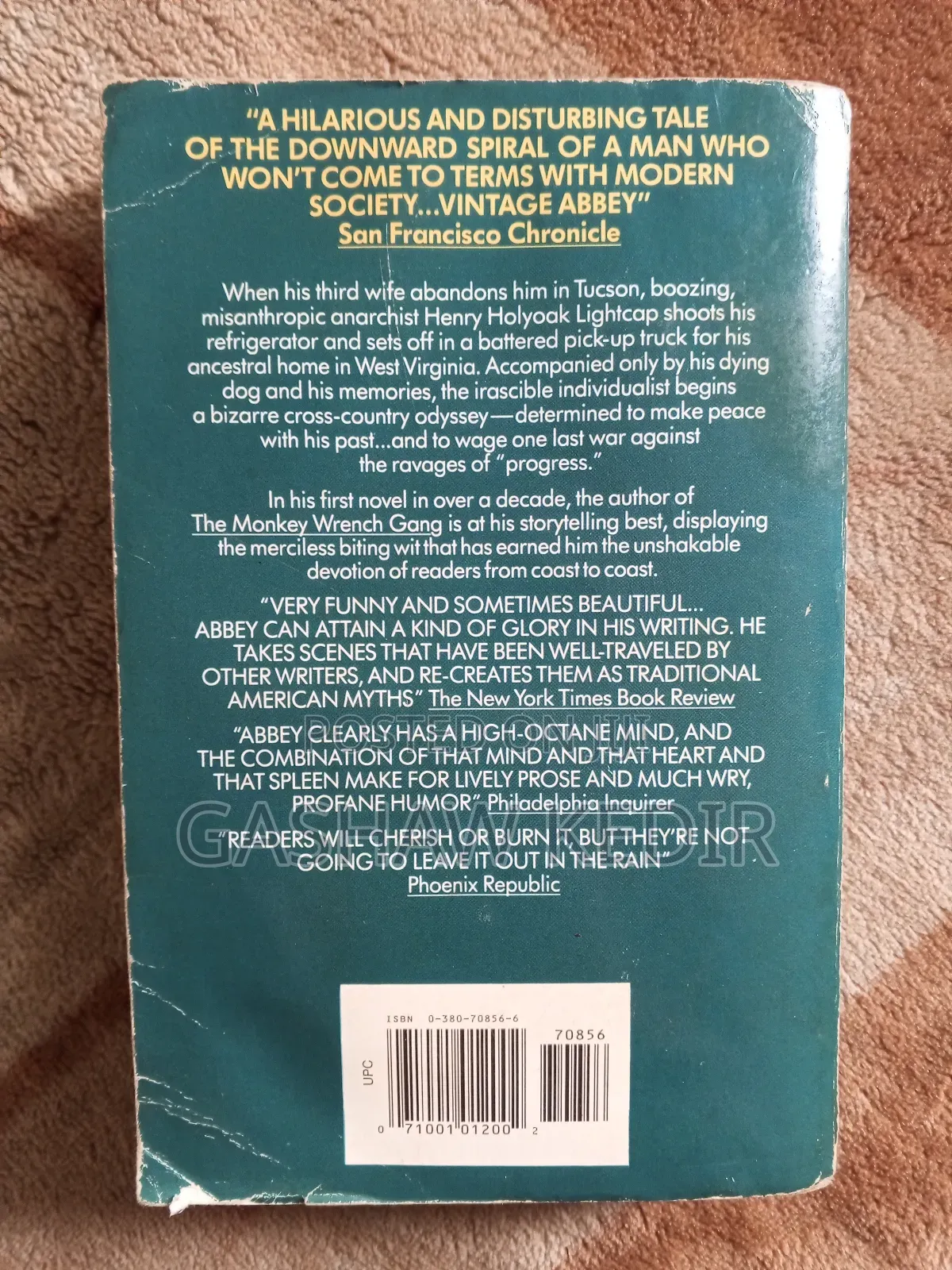 The Fool's Progress: An Honest Novel