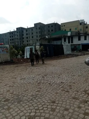 Photo - Furnished 1bdrm Apartment in Akaky Kaliti for sale