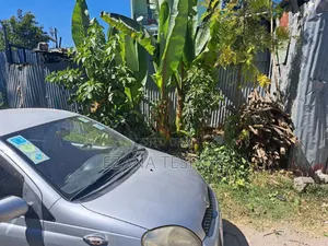 Toyota Vitz 2004 Silver