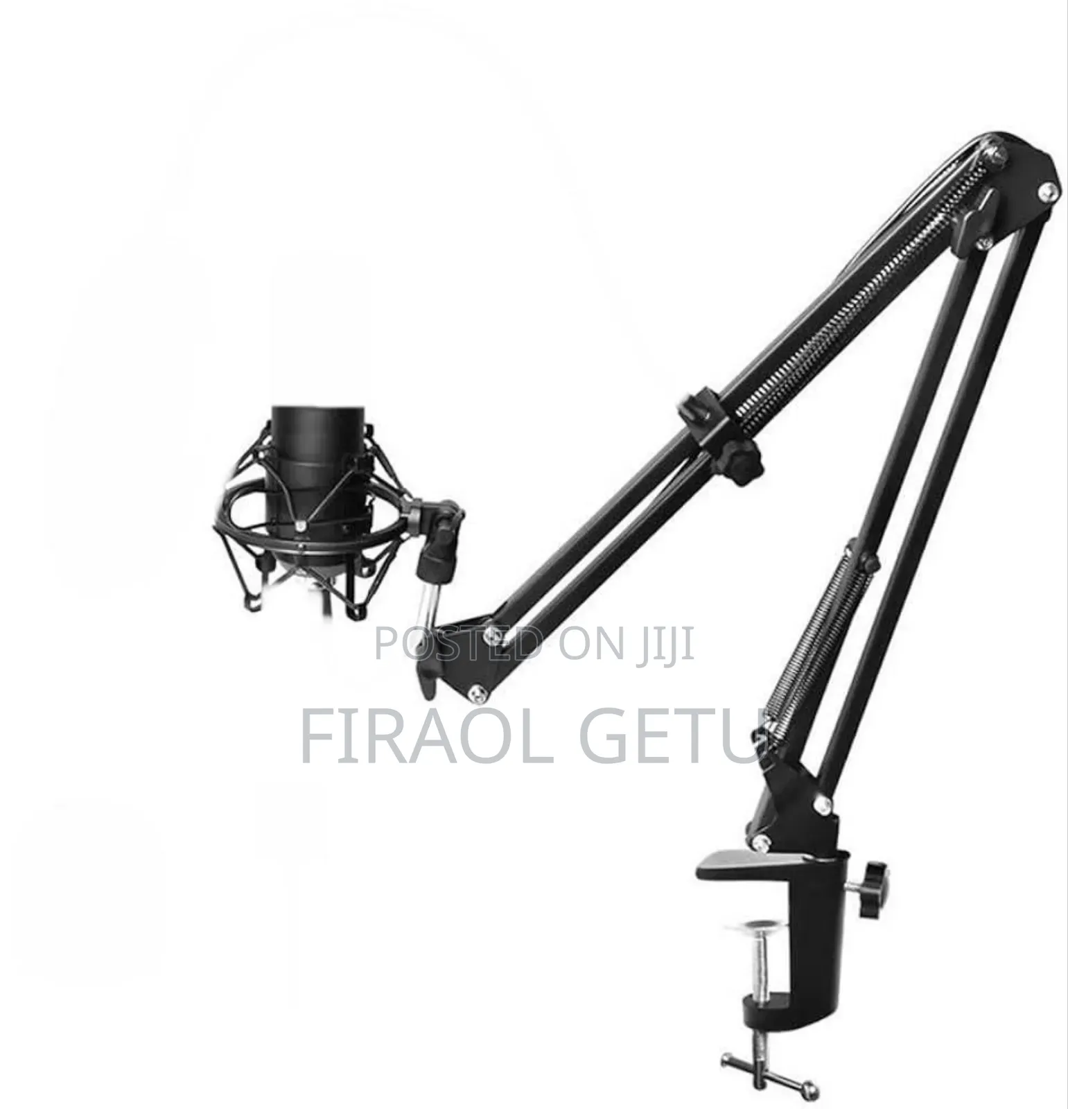 Professional Microphone Stand