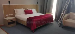 Curtain Plus Decoration