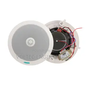 Ceiling Speaker