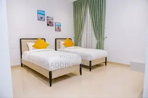 Furnished 3bdrm Apartment in Bole for rent