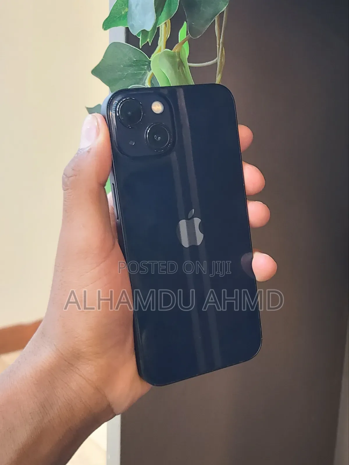 Apple iPhone 13 256 GB